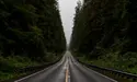 A Purposeful Website Leads Companies Through Roadways